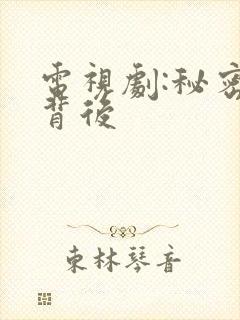 电视剧:秘密的背后