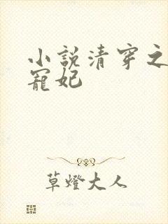 小说清穿之四爷宠妃