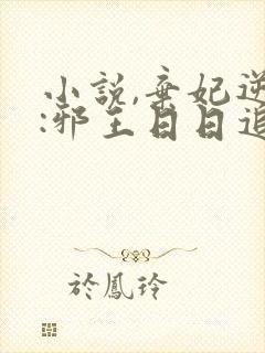 小说,弃妃逆袭:邪王日日追妻忙