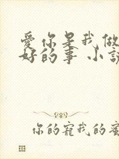 爱你是我做过最好的事 小说