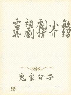 电视剧小敏家分集剧情介绍封面