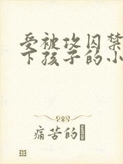 受被攻囚禁并生下孩子的小说