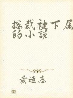 总裁被下属惩罚的小说
