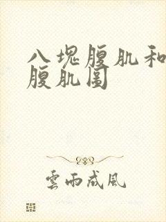 八块腹肌和六块腹肌图