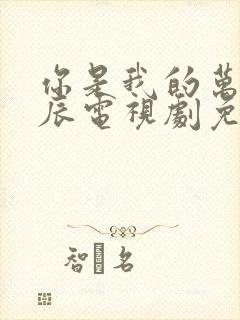 你是我的万千星辰电视剧免费观看