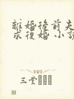 离婚后前夫哭着求复婚 小说全集完整版封面