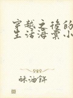 穿越之后的悲惨生活海棠小说在线阅读免费