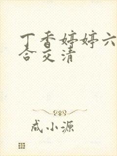 丁香婷婷六月综合交清