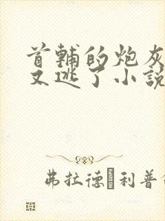 首辅的炮灰原配又逃了小说