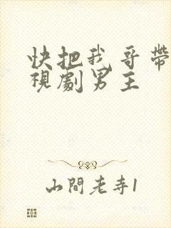 快把我哥带走电视剧男主