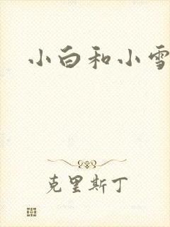 小白和小雪