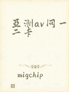 亚洲av网一卡二卡