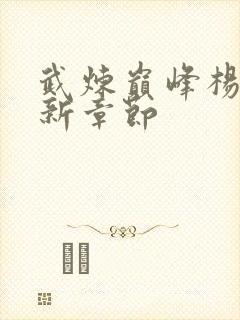 武炼巅峰杨开最新章节封面