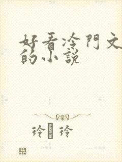 好看冷门文笔好的小说