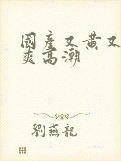 国产又黄又粗又爽高潮