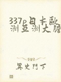 337p日本欧洲亚洲大胆裸体艺术摄影精品封面