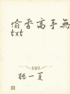偷香高手无删减txt