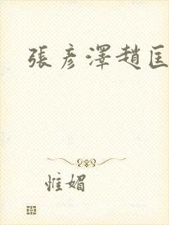 张彦泽赵匡胤封面