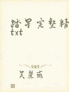 踏星完整精校版txt