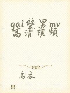 gai双男mv高清视频