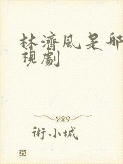 林济风是哪部电视剧