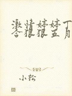 激情婷婷丁香综合狠狠五月综合狠狠久久