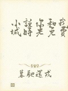 小说你和我的倾城时光免费阅读封面