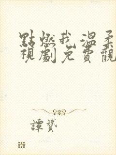 点燃我温柔你电视剧免费观看高清