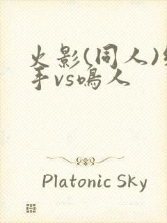 火影(同人)纲手vs鸣人封面