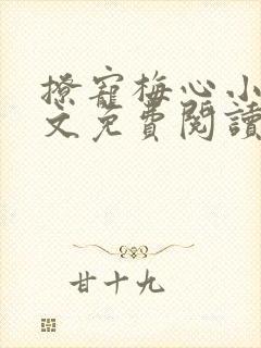 撩宠梅心小说全文免费阅读