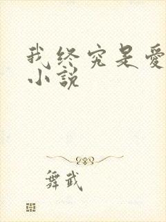 我终究是爱你的小说