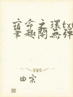 宿命之环txt笔趣阁无弹窗免费阅读