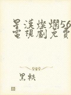 星汉灿烂56集电视剧免费下载