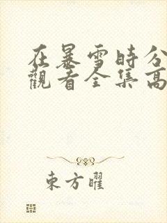 在暴雪时分免费观看全集高清封面