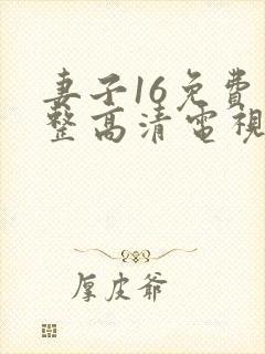 妻子16免费完整高清电视剧看封面