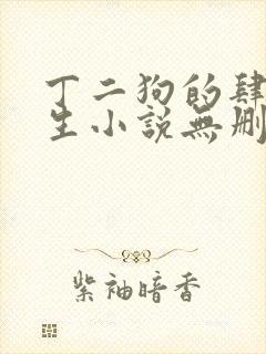 丁二狗的肆意人生小说无删减封面