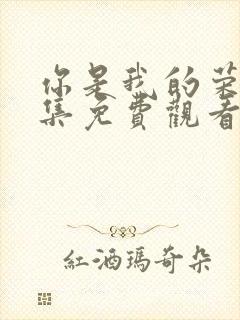 你是我的荣耀全集免费观看高清