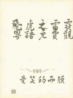 飞虎之雷霆极战粤语免费观看封面