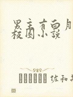 男主有白月光的校园小说