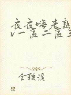 夜夜嗨老熟女av一区二区三区