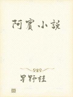 阿宾小说