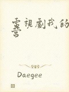 电视剧我的特一营