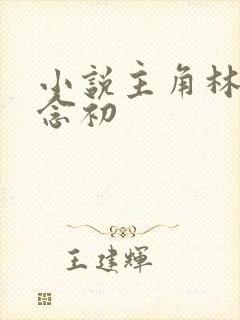 小说主角林舟许念初