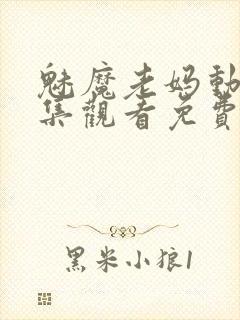 魅魔老妈动漫全集观看免费