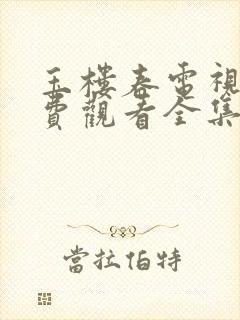 玉楼春电视剧免费观看全集在哪里看封面