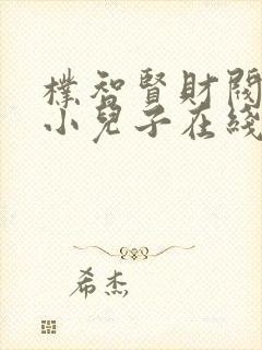 朴智贤财阀家的小儿子在线观看