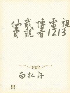 仙武传电视剧免费观看1213