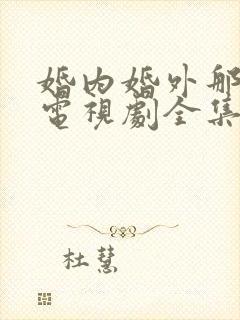 婚内婚外那些事电视剧全集免费观看高清