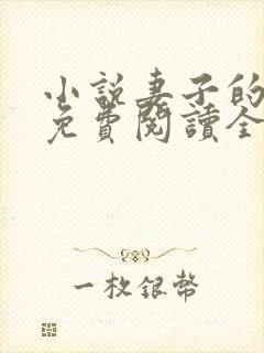 小说妻子的秘密免费阅读全文