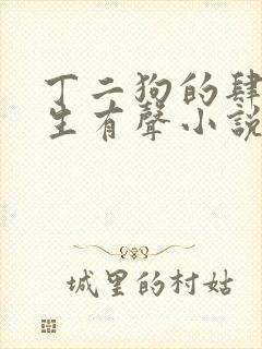丁二狗的肆意人生有声小说